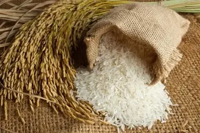 Basmati Rice — Indian export quality