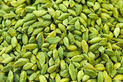 Green Cardamom — Indian export quality