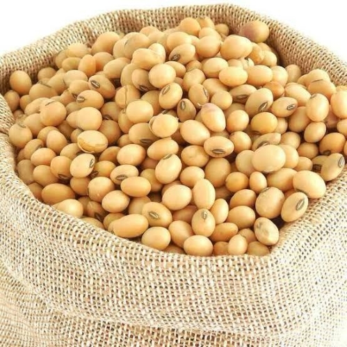 Soyabean