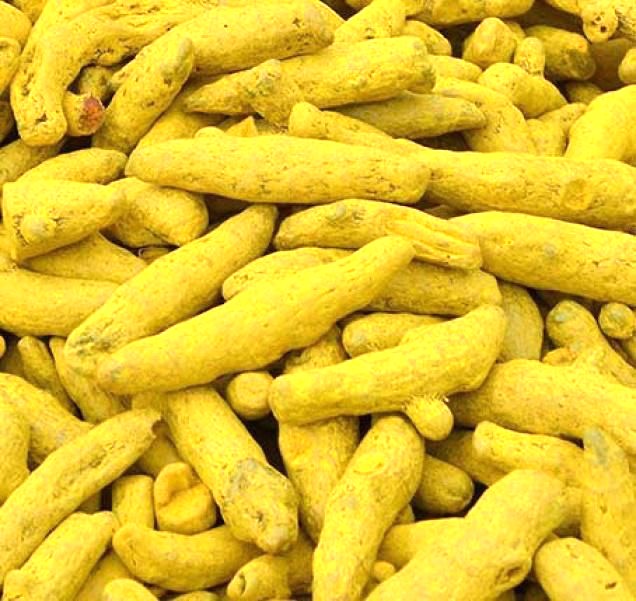 Turmeric